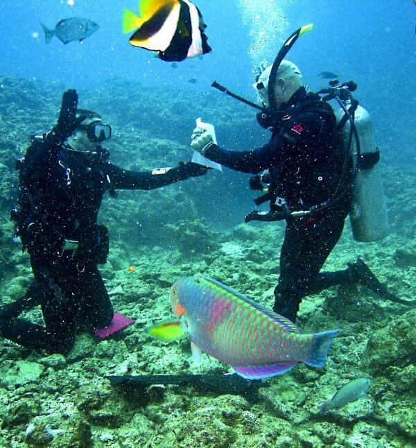 Scuba Diving